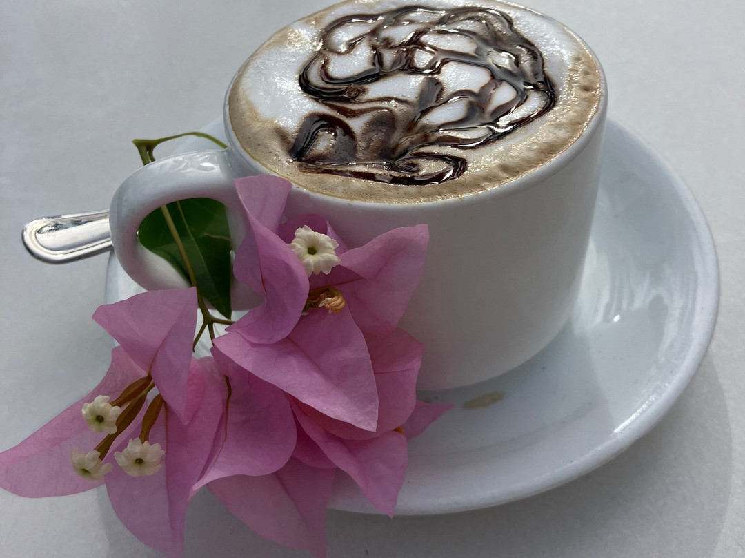 Starfish Cayo Largo主图