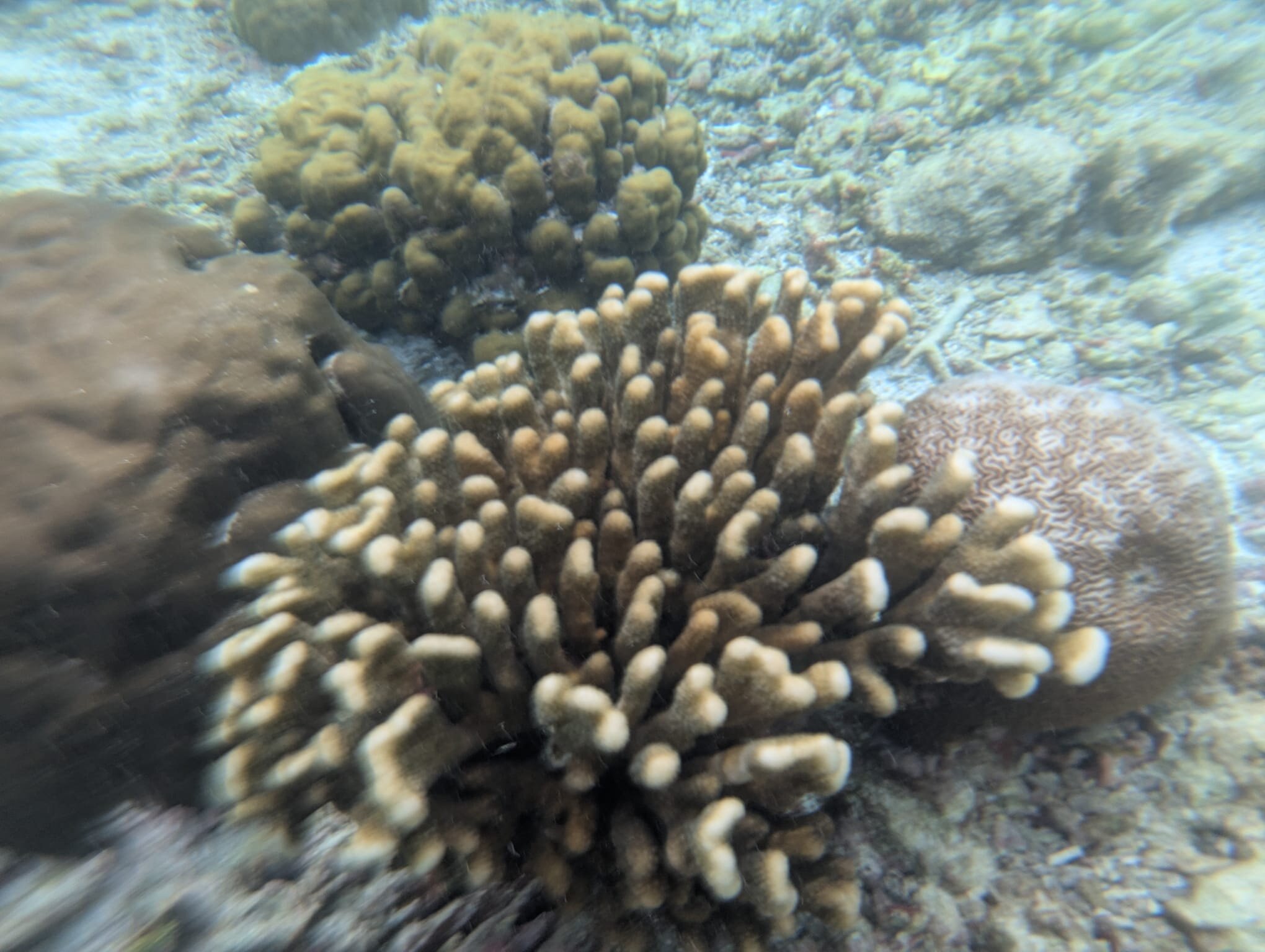 梦幻岛度假村-泳池