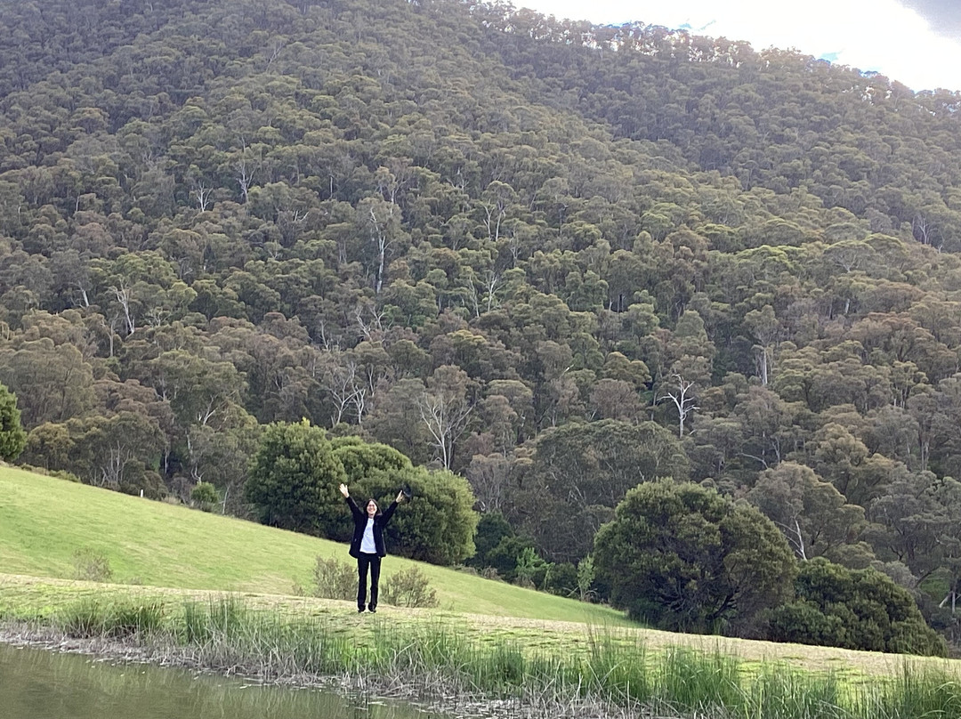 尖峰谷美诗铂高级服务公寓主图