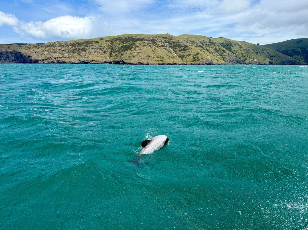 生态海洋水上行-阿卡罗阿必去景点