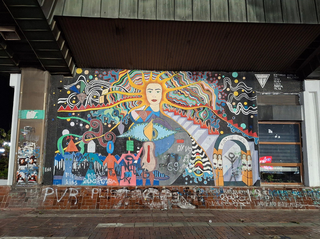 Pristina City Stadium-普里什蒂纳必去景点