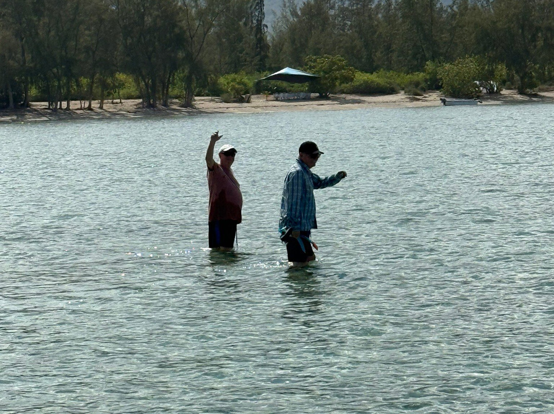 Dolphin Warrior-La Gaulette必去景点