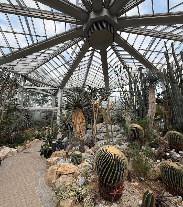 棕榈树公园-法兰克福必去景点