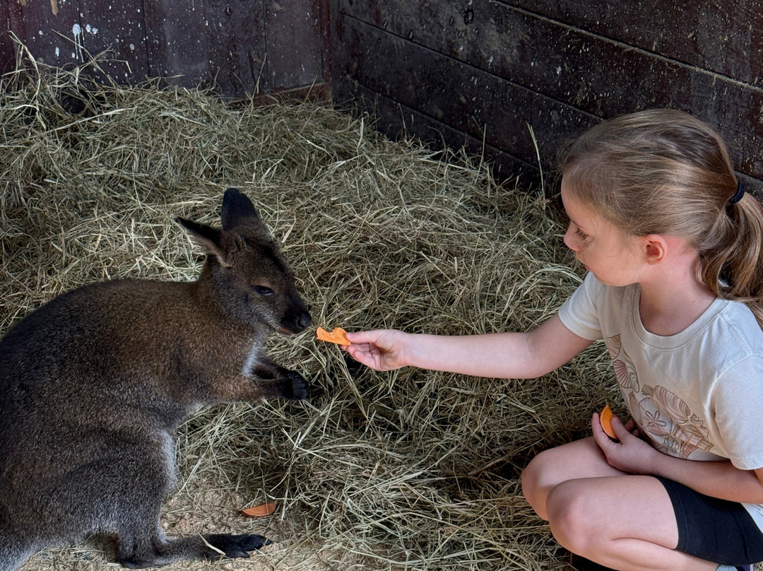 Beautiful Creatures Animal Ranch-Dunnellon必去景点