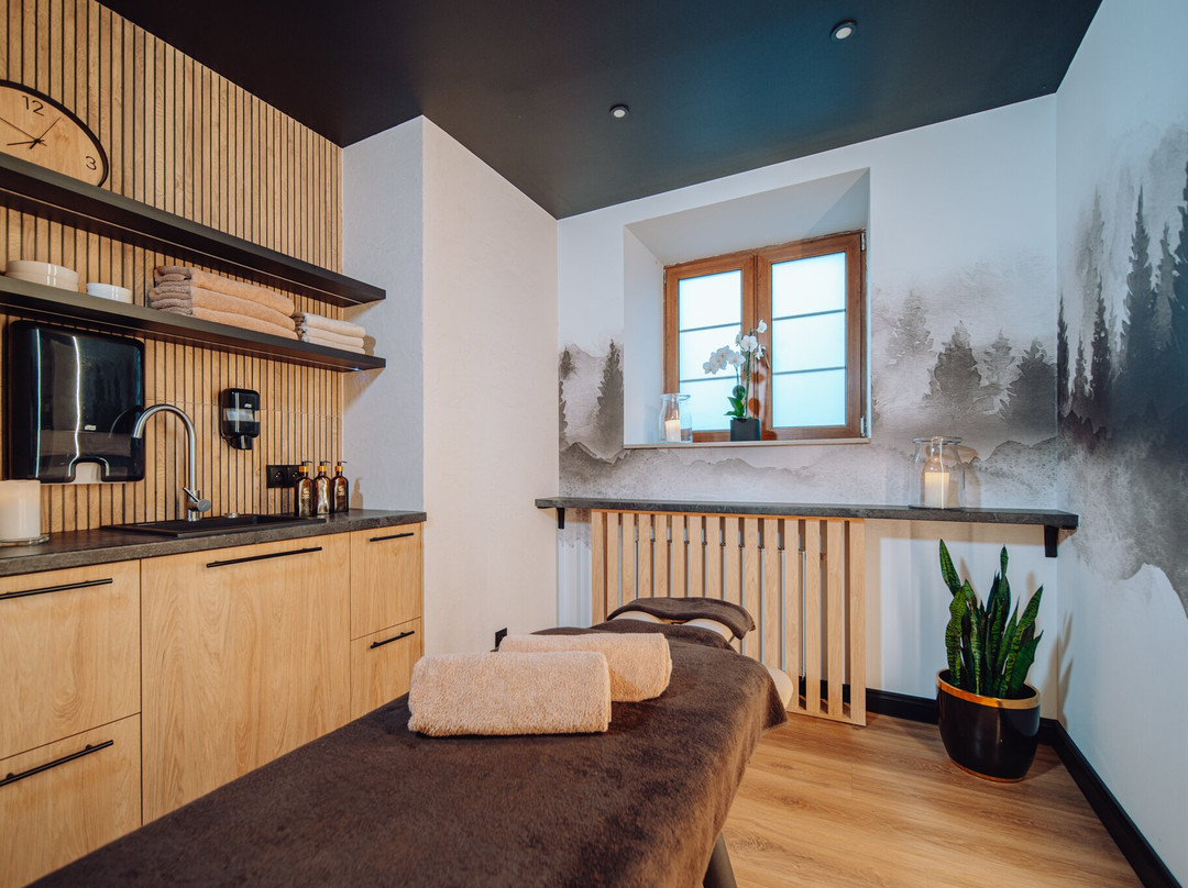 Lazne Libverda酒店住宿-Le Mont Medical & SPA