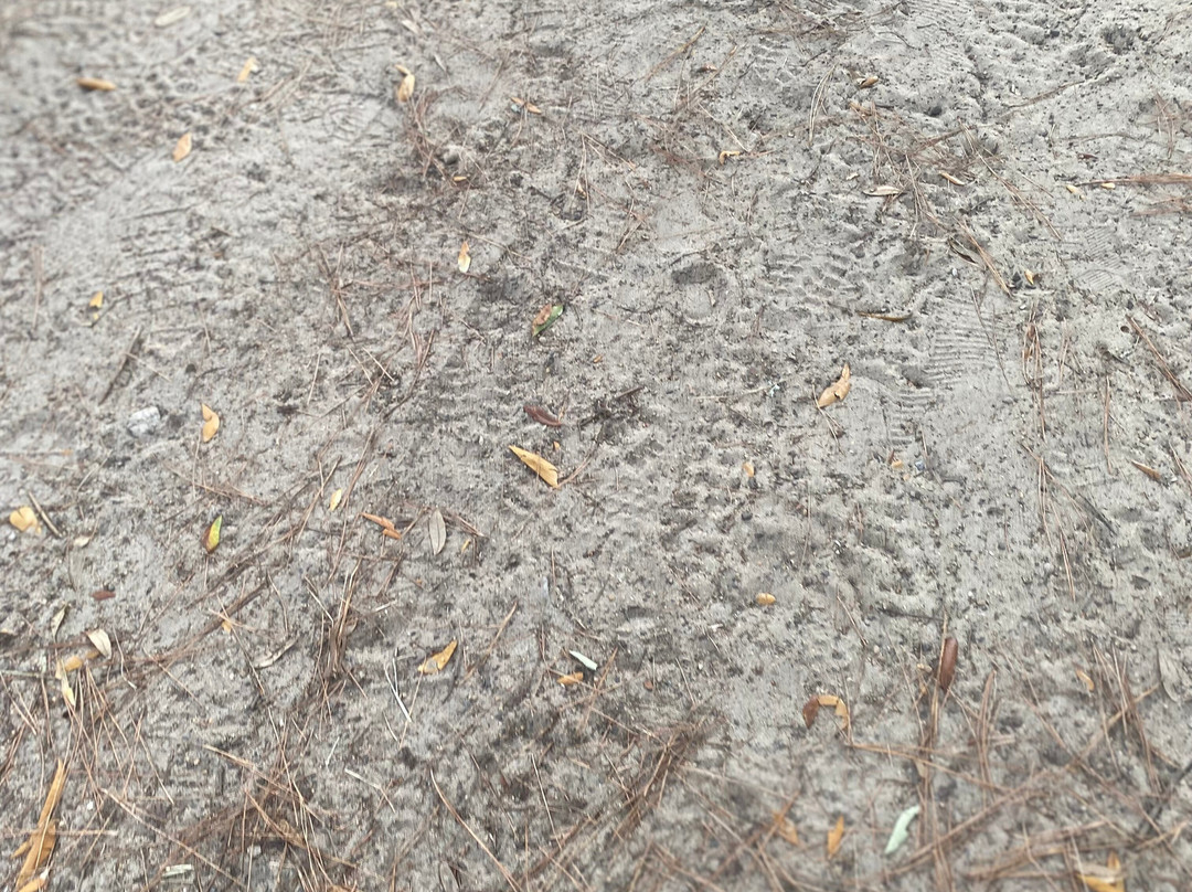 Rooterville Animal Sanctuary-Melrose必去景点