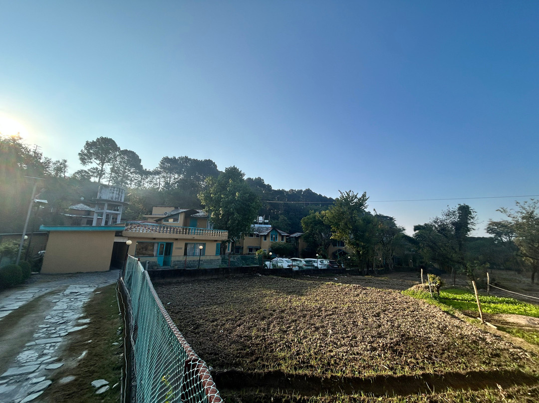 Tree of Life Birdsong Chalets主图