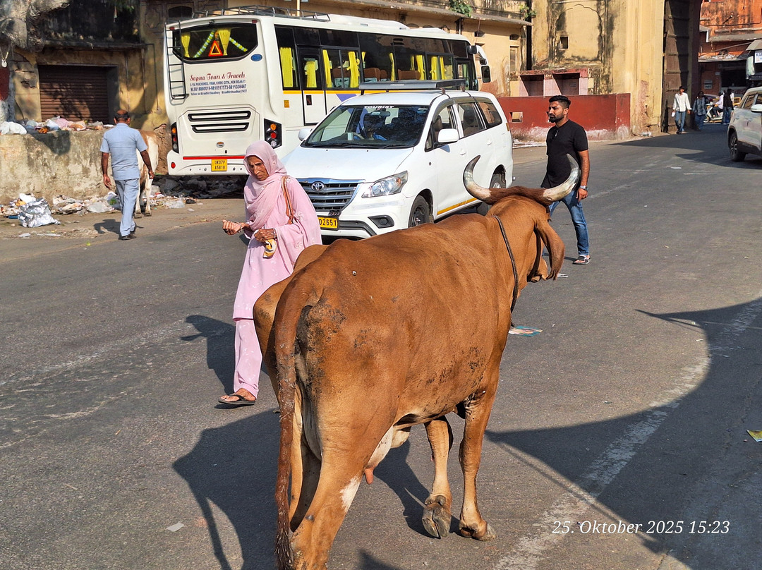 My Rajasthan Trip-斋蒲尔必去景点