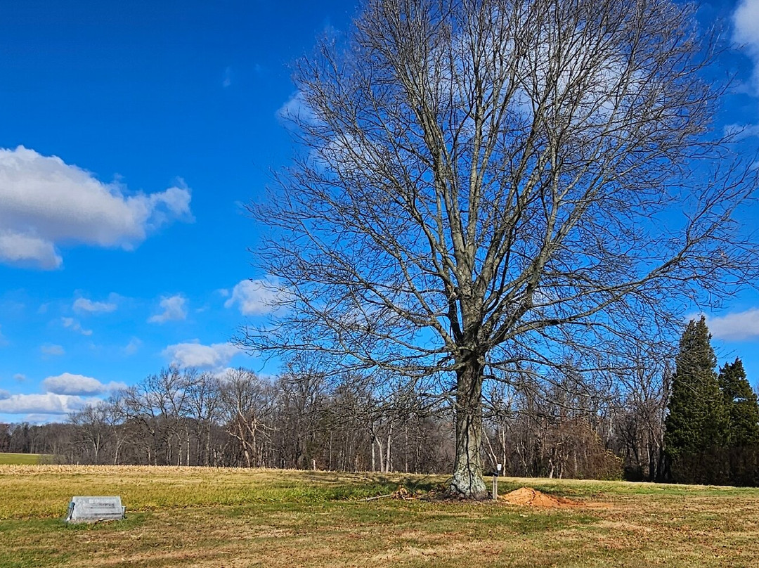 St. Paul's United Methodist Church-Pylesville必去景点