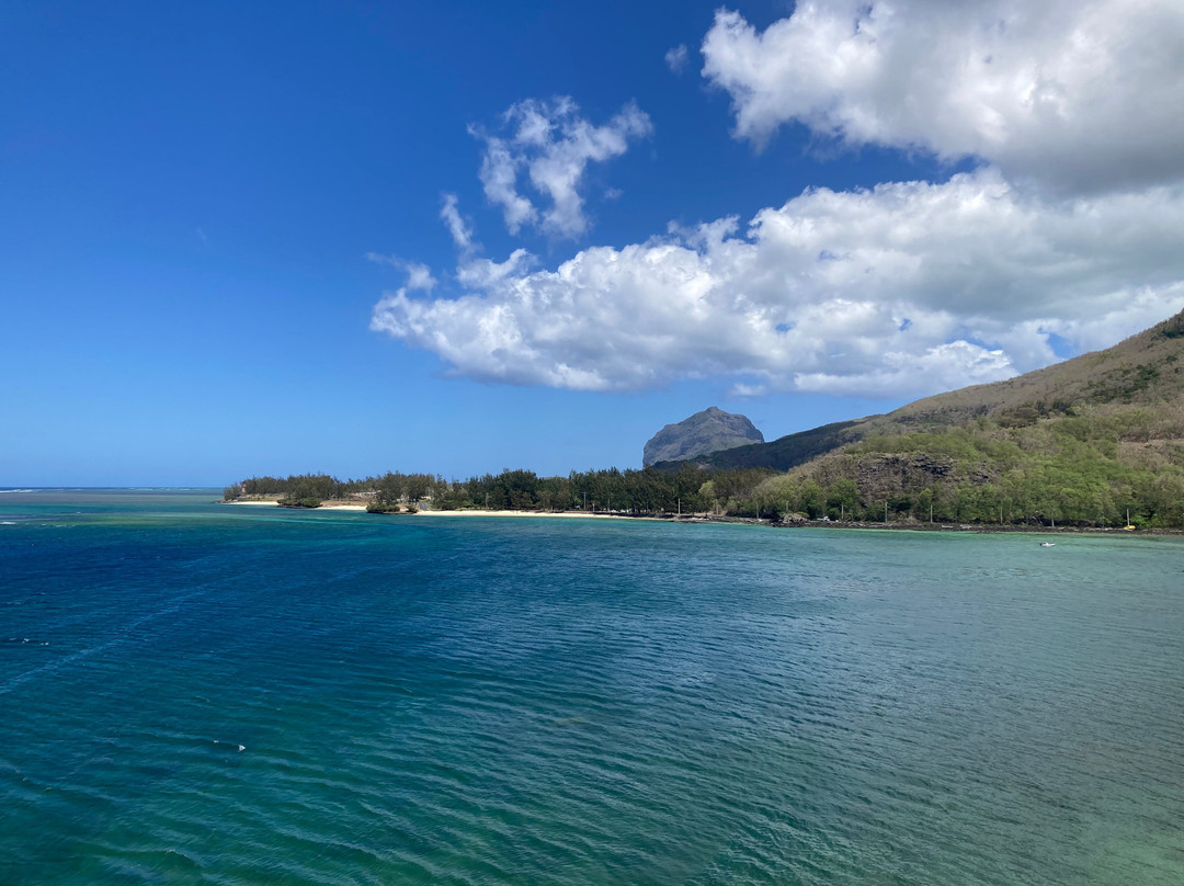 The Friendly Dodo-路易士港必去景点