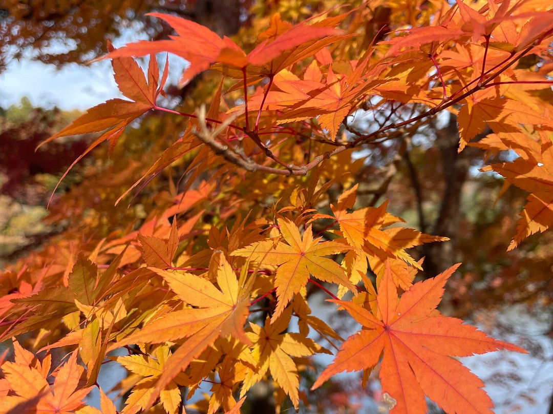 MOOMINVALLEY PARK-饭能市必去景点