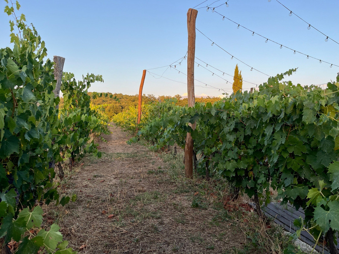 Poggio Molina-Bucine必去景点