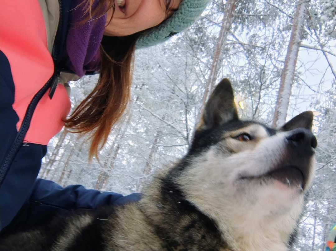 Tundra Huskies Huskyfarm-Levi必去景点