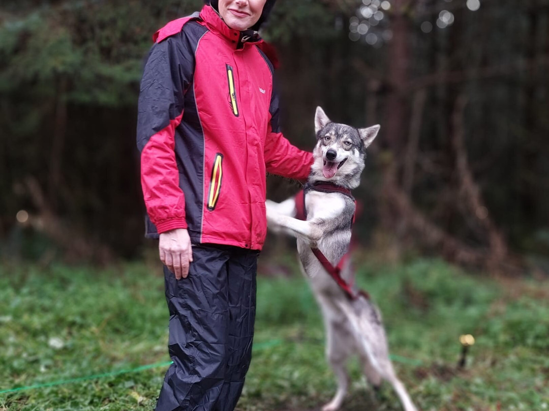 Mynydd Sleddog Adventures-Cerrigydrudion必去景点