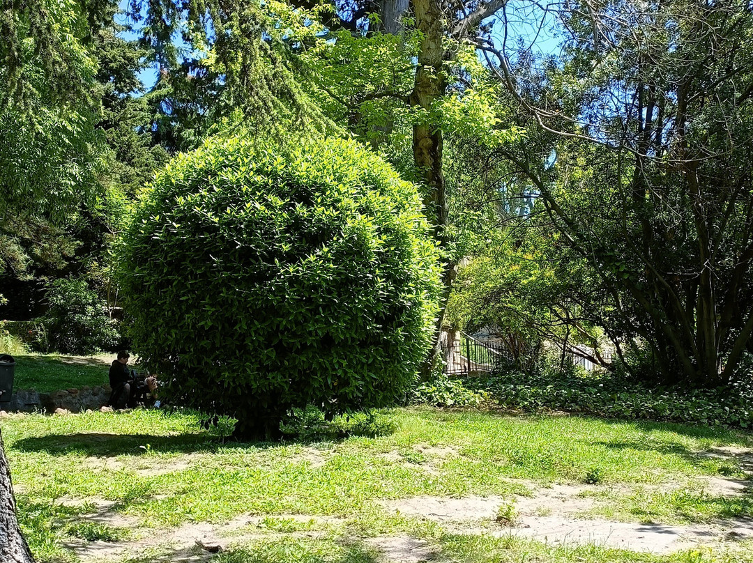 亚尔勒公园-阿尔勒必去景点