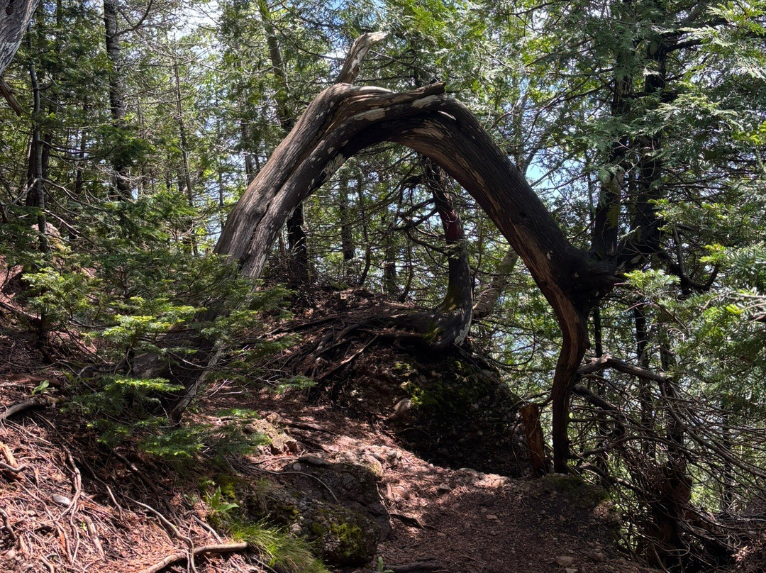 Boucle De La Forêt Magique-Perce必去景点