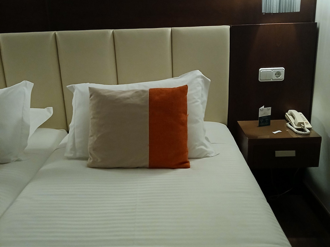 Hotel Avenida de Fatima主图