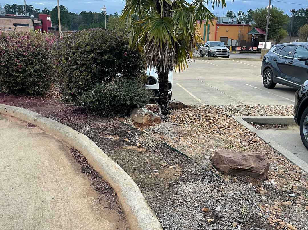 Fairfield by Marriott Inn & Suites Natchitoches主图