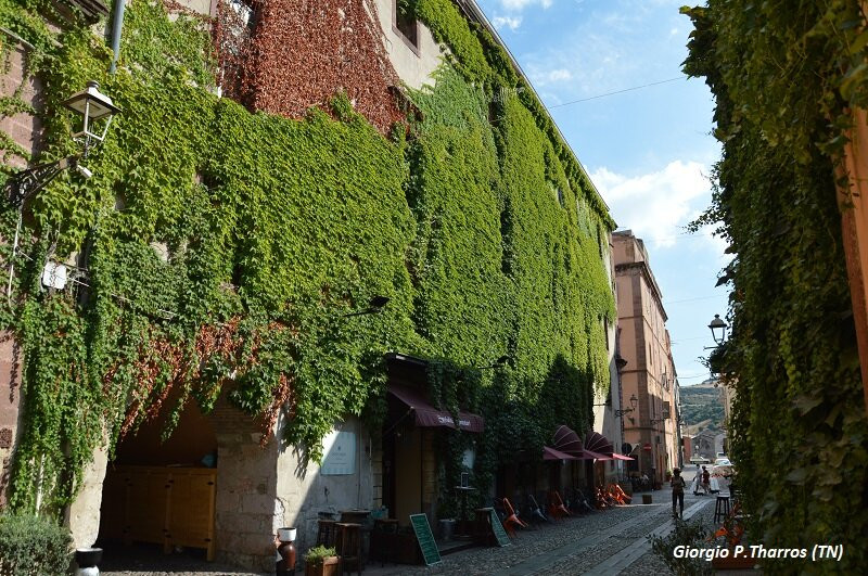 Centro Storico-博萨必去景点