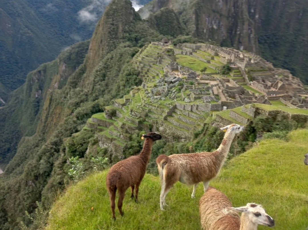 AllPackers Expeditions-库斯科必去景点