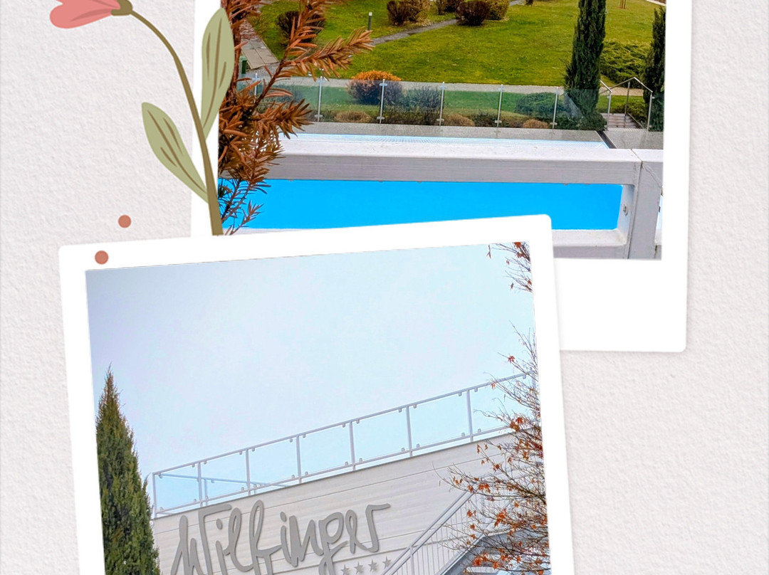 Wilfinger Ring Bio Hotel主图