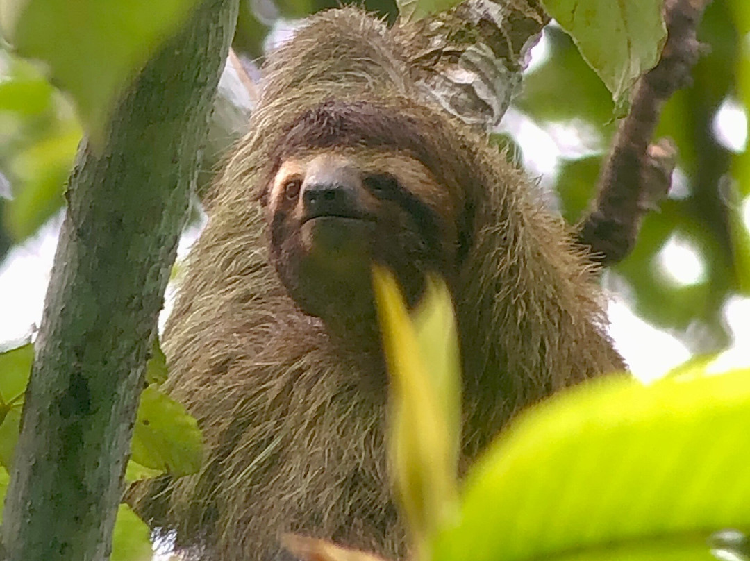 C. R. Referrals Travel-Atenas必去景点