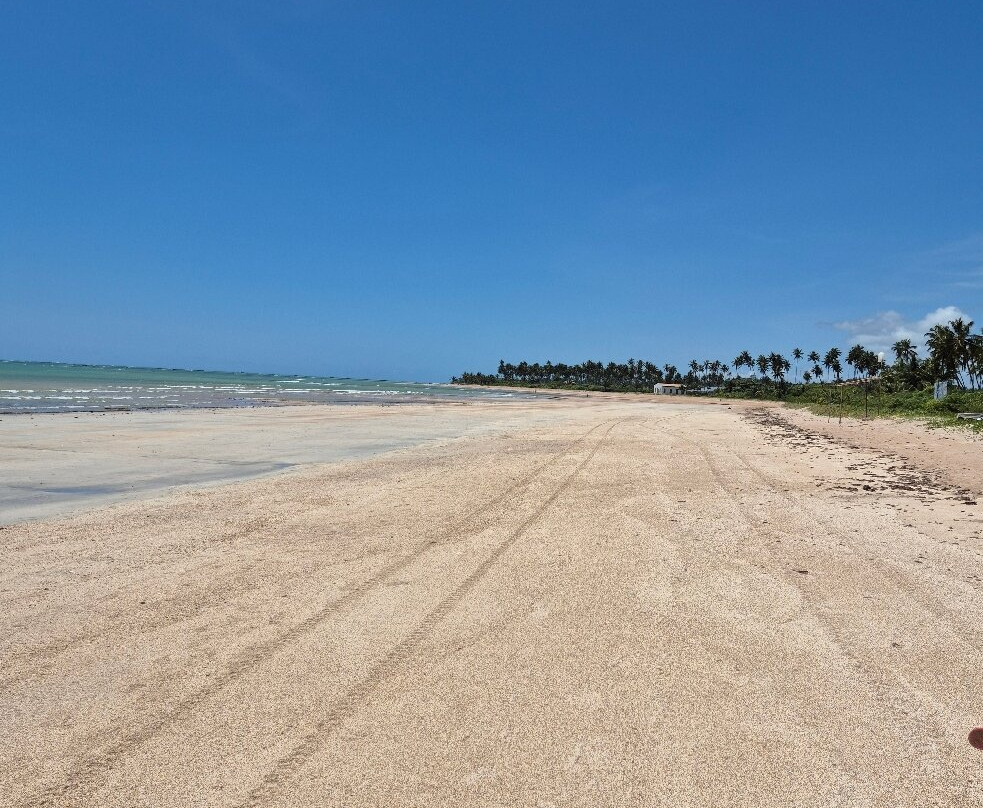 Riacho Beach-Sao Miguel dos Milagres必去景点