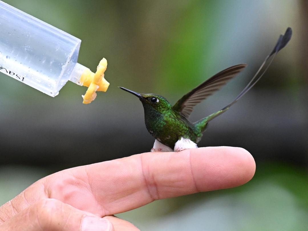 Geo Natura Tours-圣拉蒙必去景点