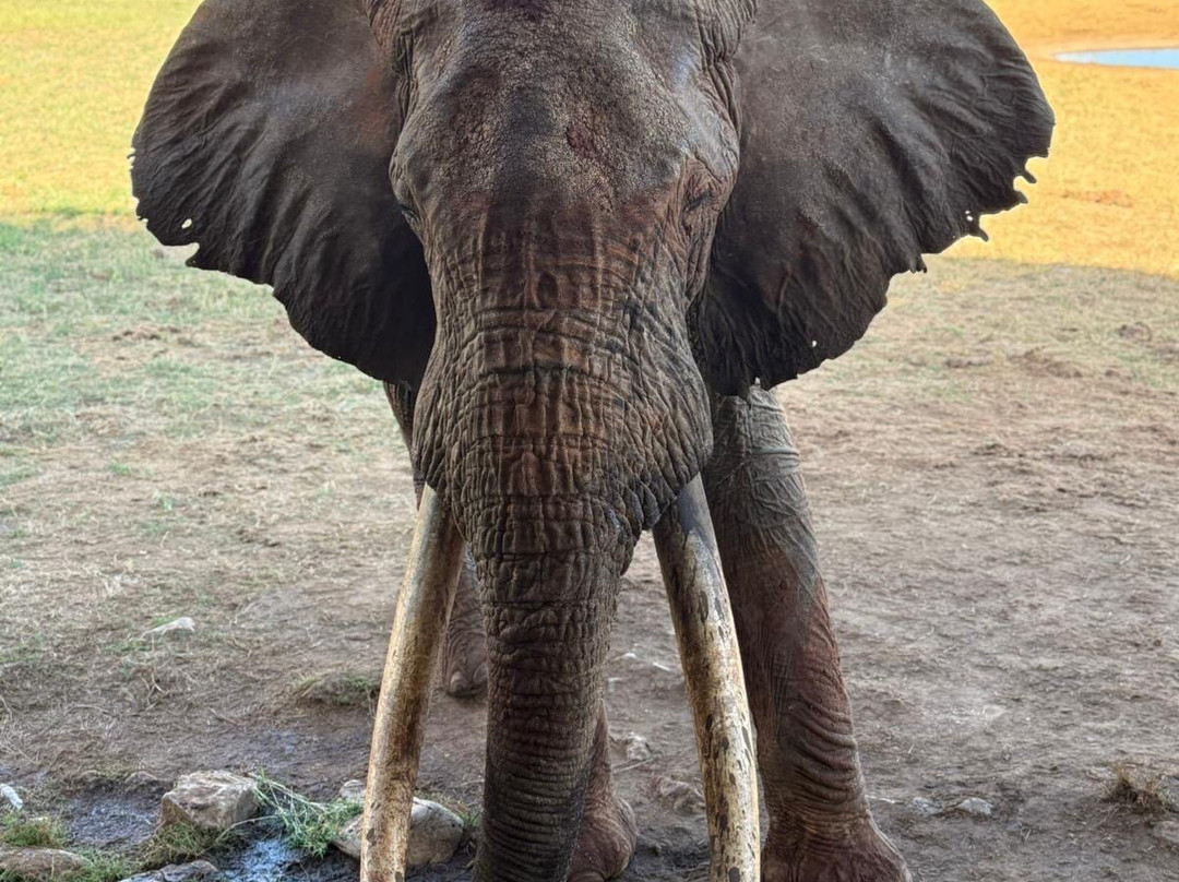 Polki W Podróży-比亚韦斯托克必去景点