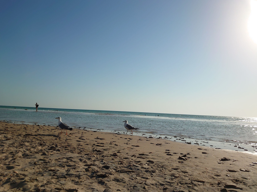 Playa de Camposoto-圣费尔南多必去景点