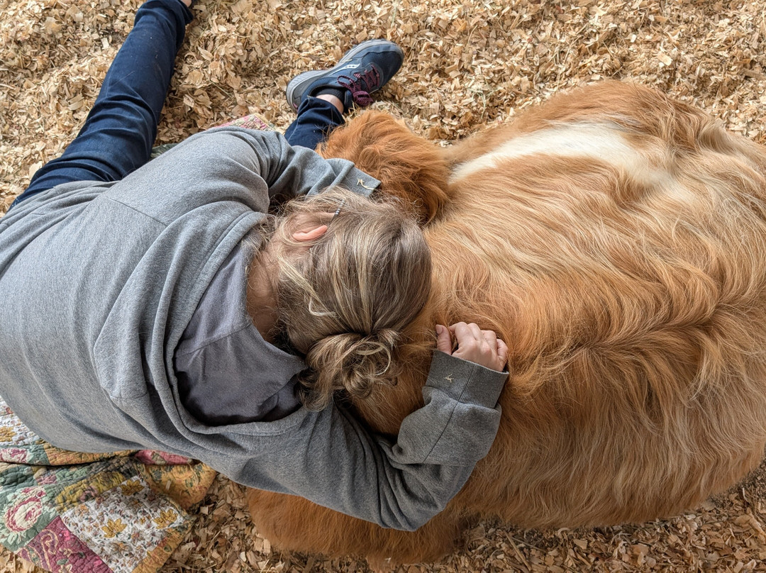 Rooterville Animal Sanctuary-Melrose必去景点