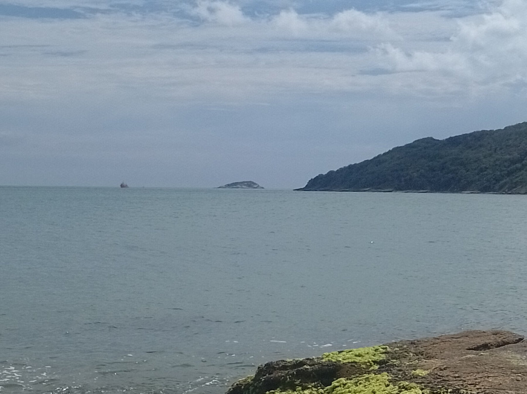 Praia da Tartaruga-布基亚斯必去景点