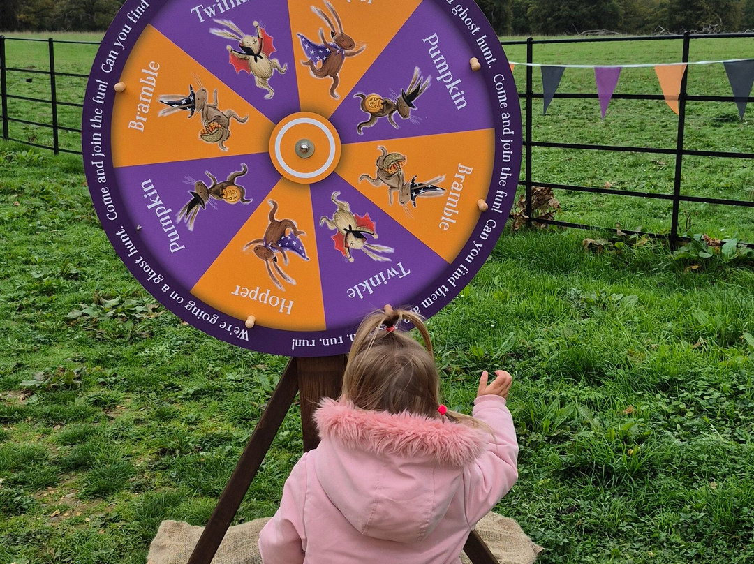 The Vyne-Sherborne St. John必去景点