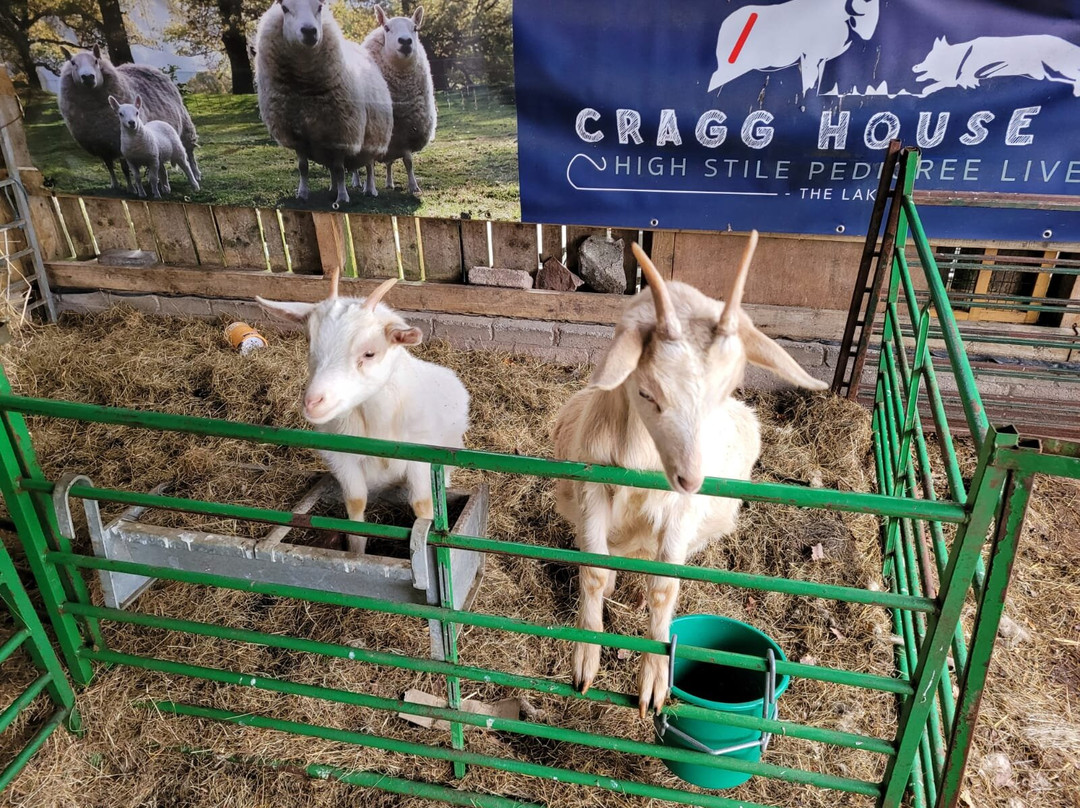 Cragg House Farm-Buttermere必去景点