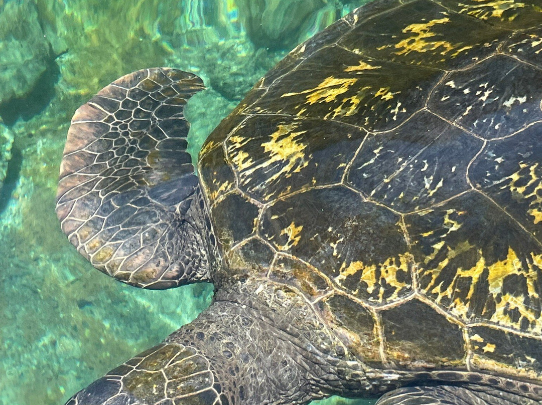 Reefworld Aquarium-尤兰根必去景点