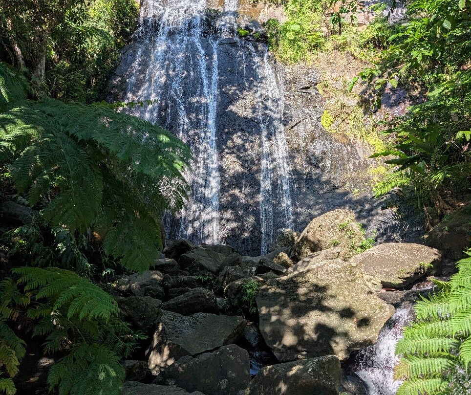 Beep Beep Jeep-圣胡安必去景点