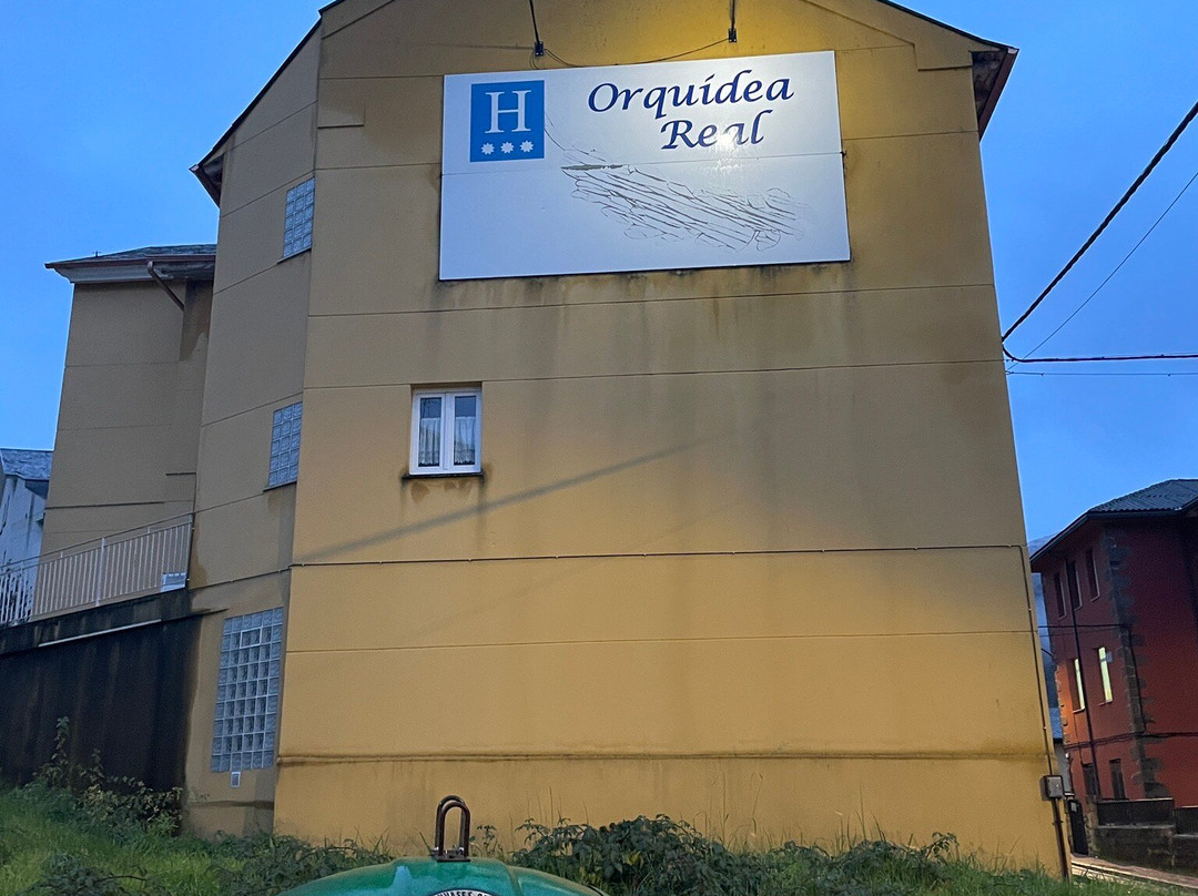 Hotel Orquidea Real主图