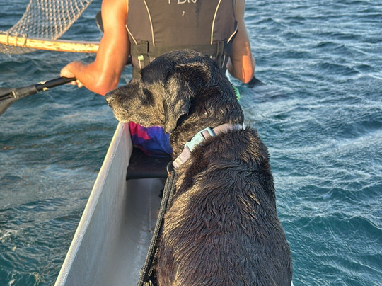 Two Brothers Noronha-费尔南多-迪诺罗尼亚群岛必去景点