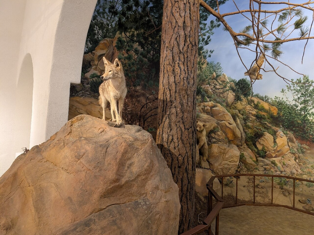 Ojai Valley Museum of History and Art-奥海必去景点