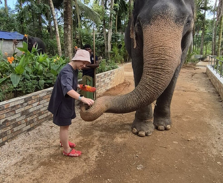 Ceylon Private Taxi-加勒必去景点