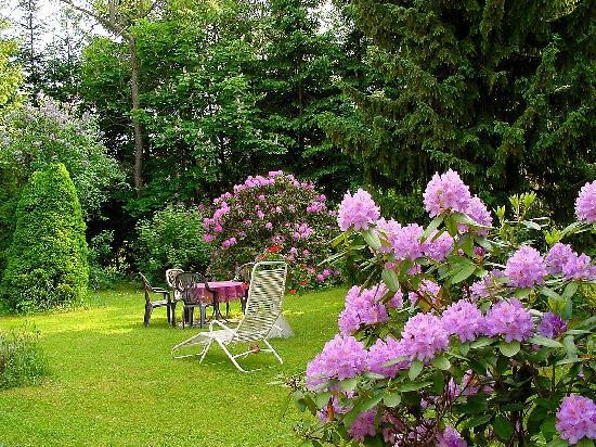 Kurpension Woelfel主图