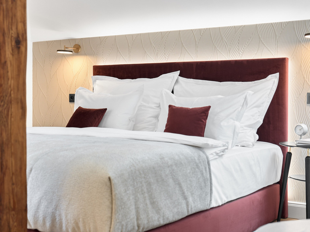 Villa Patriot  Boutique Hotel主图