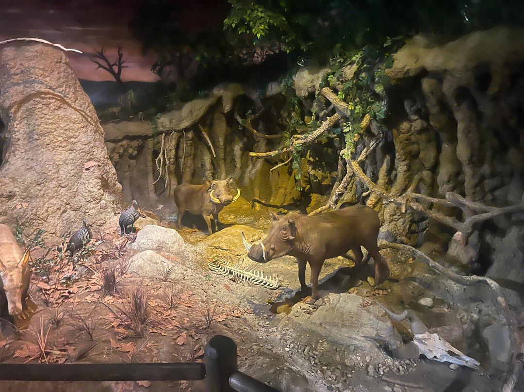 Rolling Hills Zoo-萨利纳必去景点