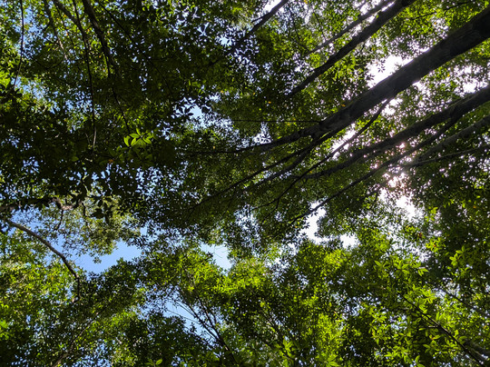 Asia Pacific Travel Vietnam-河内必去景点