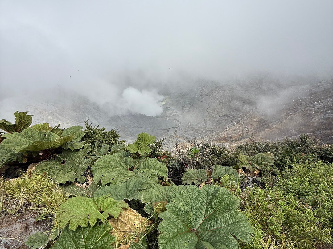 Goolonukos-塔马林多必去景点