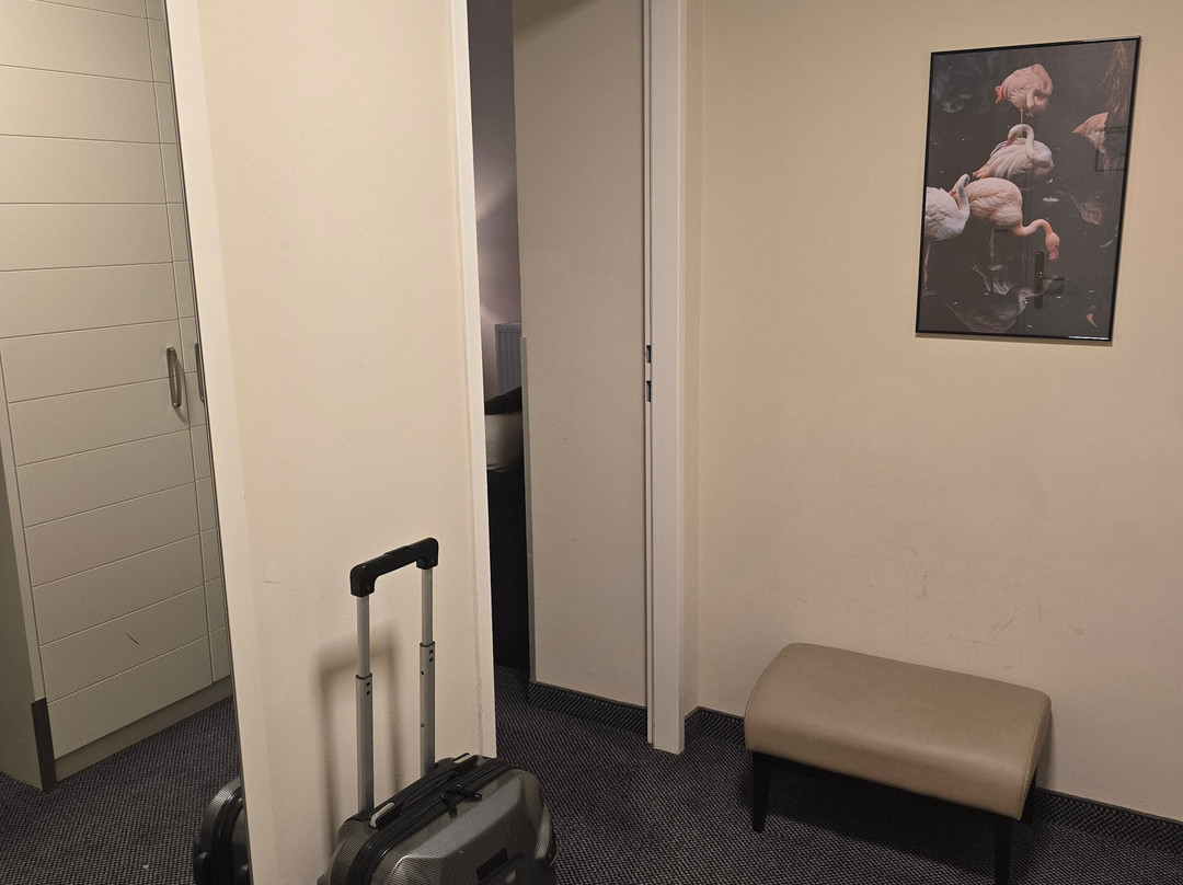 卡尔顿别墅酒店主图