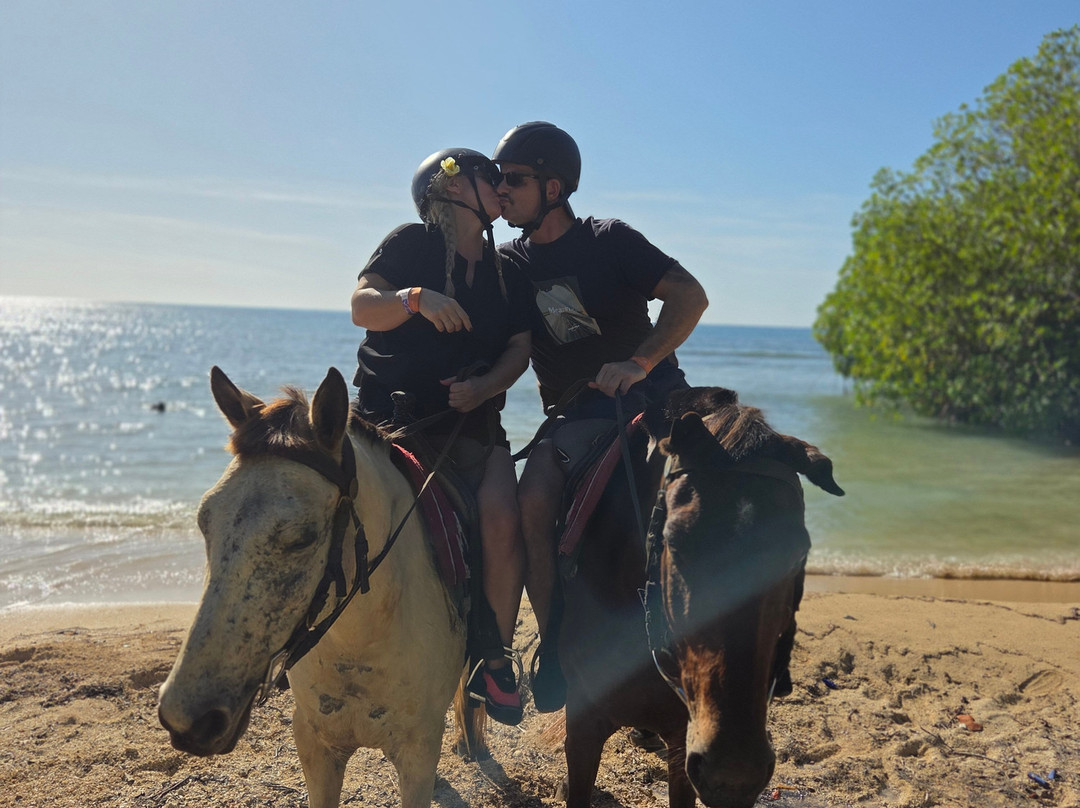 Nexus Tours-蒙特戈贝必去景点