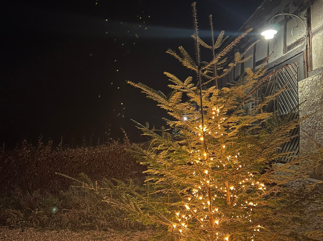 Bergtrotte Osterfingen-Wilchingen必去景点