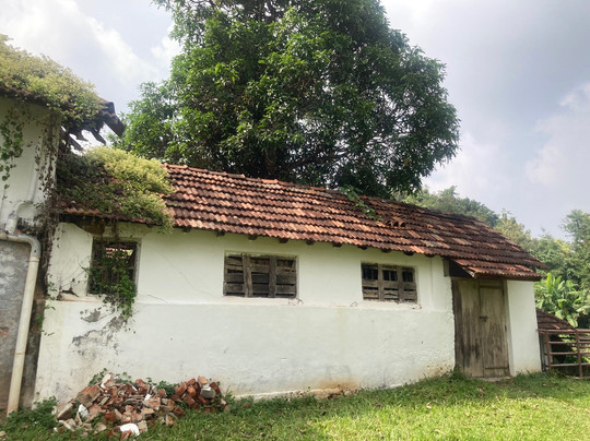 Kilimanoor Palace-提卢湾安塔普兰（特里凡德伦）必去景点