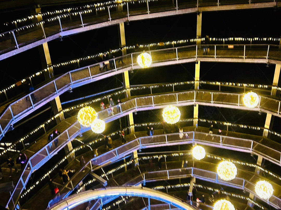 Beyond the Trees Avondale-Rathdrum必去景点